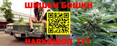 шишки Абакан