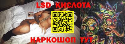 шишки Абакан