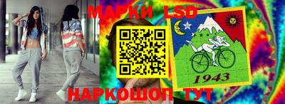 шишки Абакан