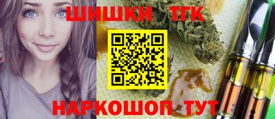 шишки Абакан