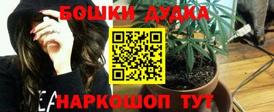 шишки Абакан
