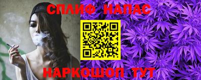 шишки Абакан