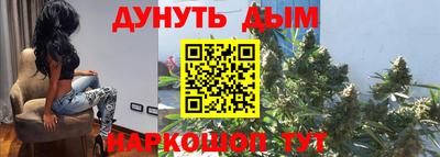 шишки Абакан