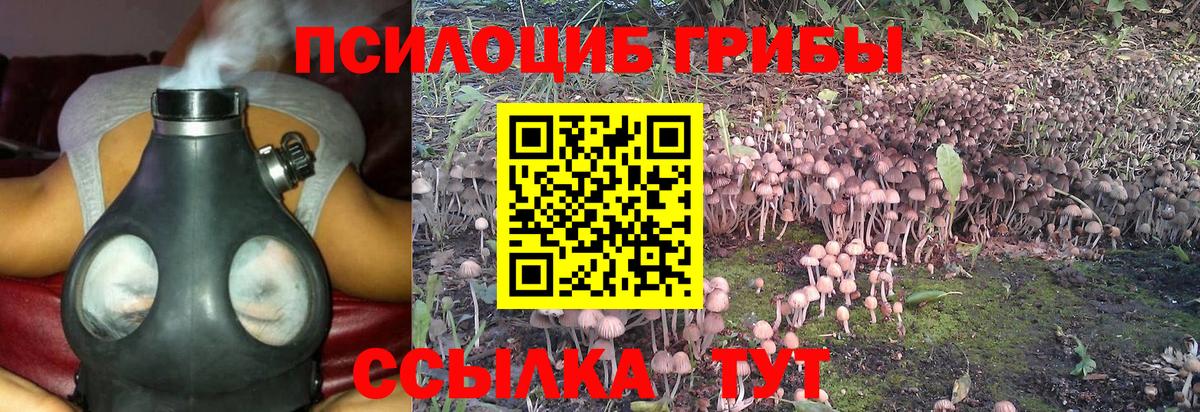 Галлюциногенные грибы GOLDEN TEACHER Азнакаево