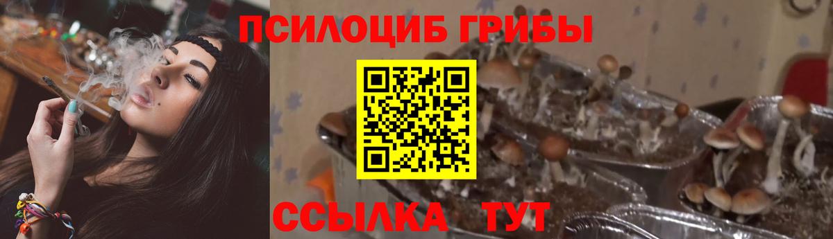 Галлюциногенные грибы MAGIC MUSHROOMS  Галлюциногенные грибы мухоморы  Азнакаево  Вход с VPN 